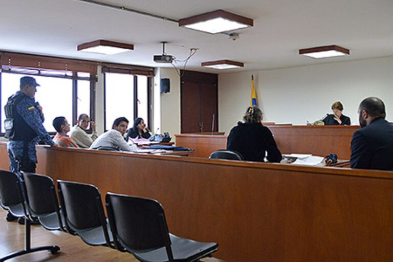 Representación en Audiencia de Juicio Oral.